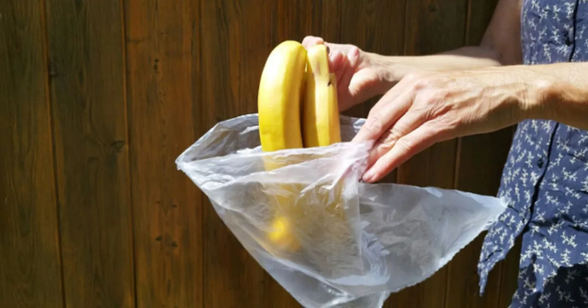 Armazenamento errado acelera a deterioração