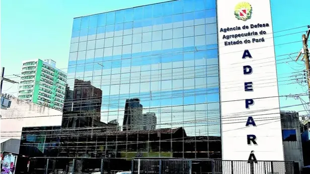 Adepará com oito vagas por meio de PSS