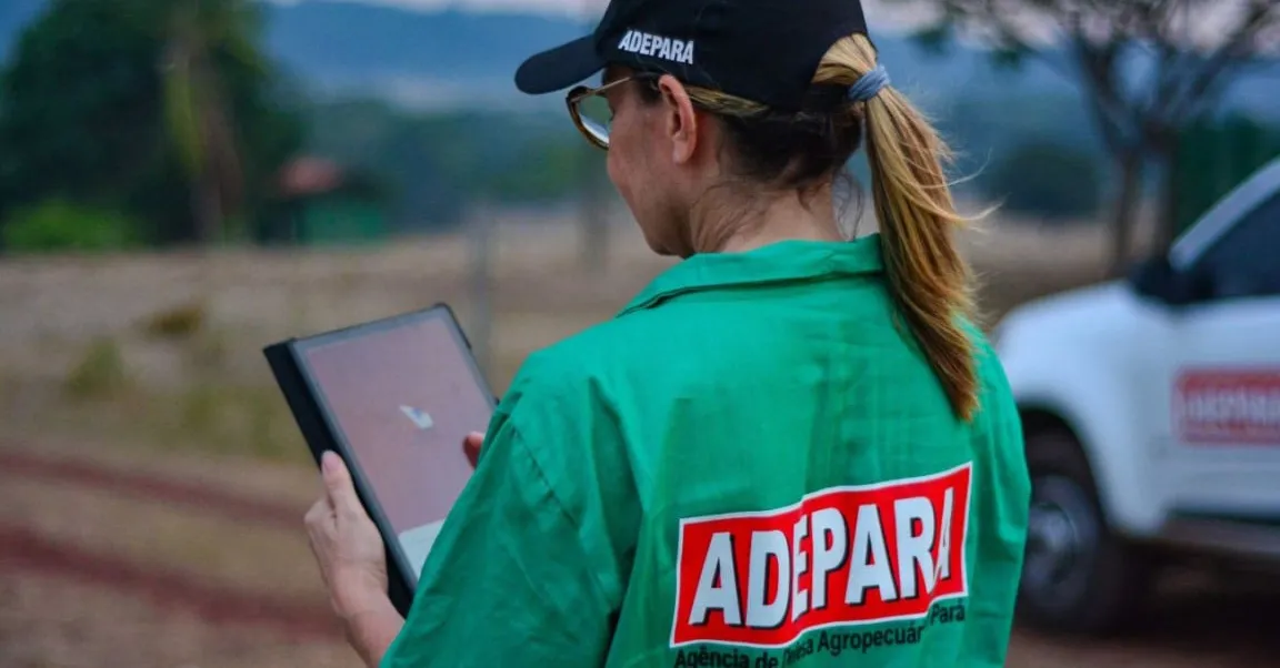A seleção dos candidatos ocorrerá por meio de análise documental, avaliação curricular e entrevista.