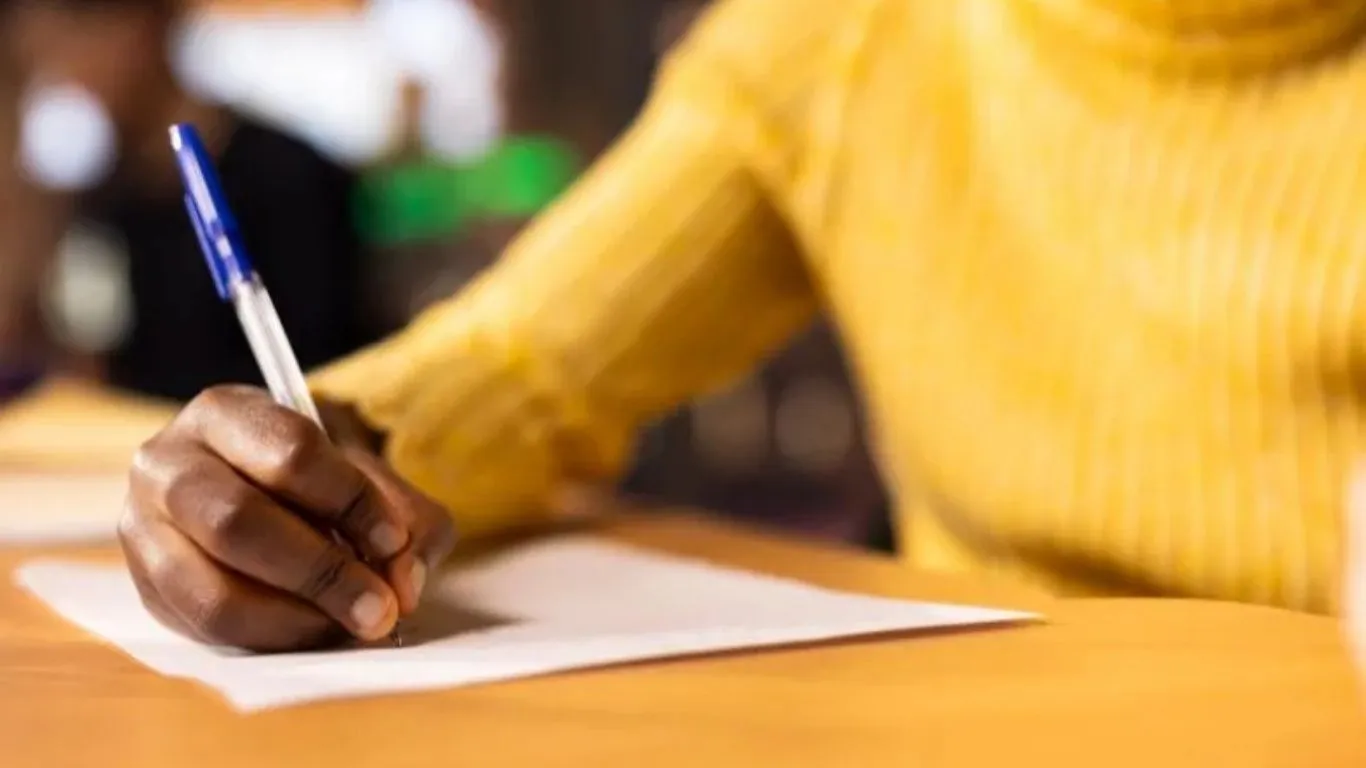 No total, são 3.902 vagas disponíveis em diferentes áreas e níveis de escolaridade.