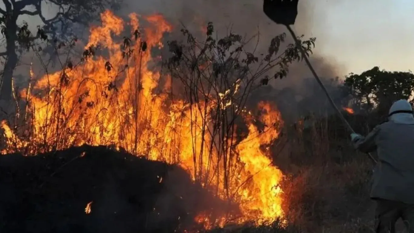 Os aprovados terão auxílio mensal de até R$ 3.036 e carga horária de 44 horas semanais.