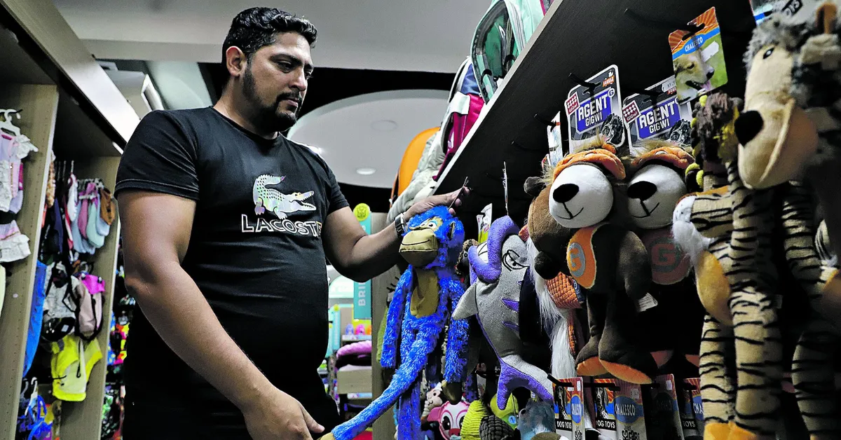 As pet shops têm apostado em oferecer produtos variados e um espaço acolhedor para os animais