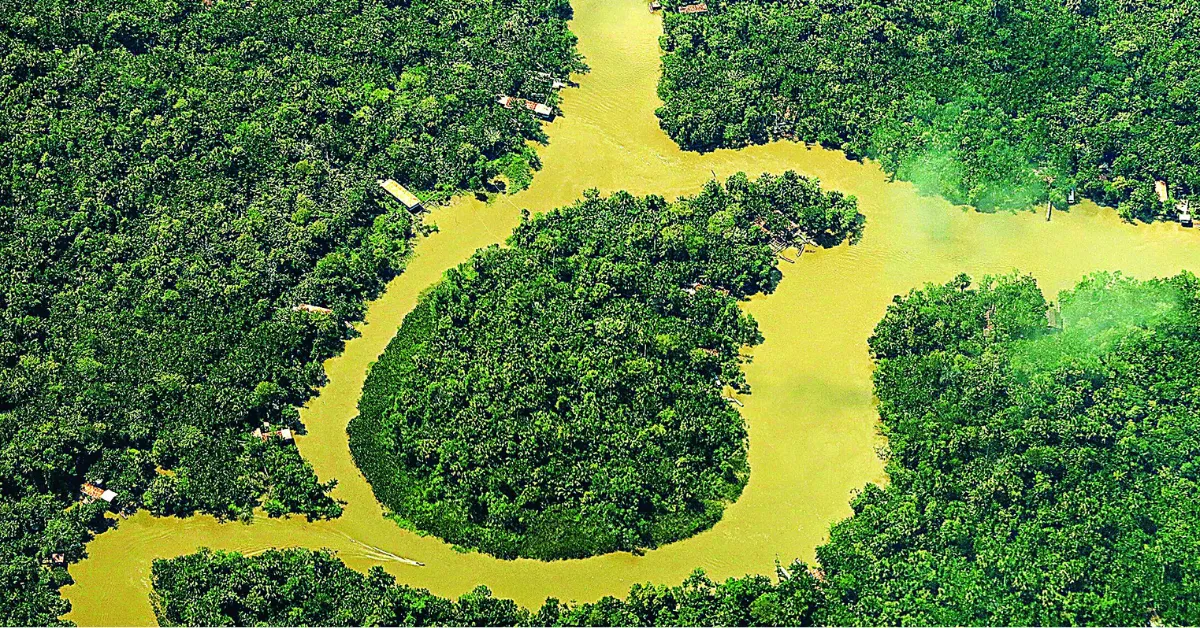 Projeto irá aproximar os leitores dos debates fundamentais sobre o futuro da Amazônia