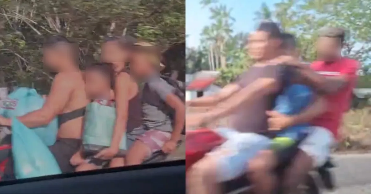 Cena já se tornou comum para quem trafega pela estrada de Vigia.