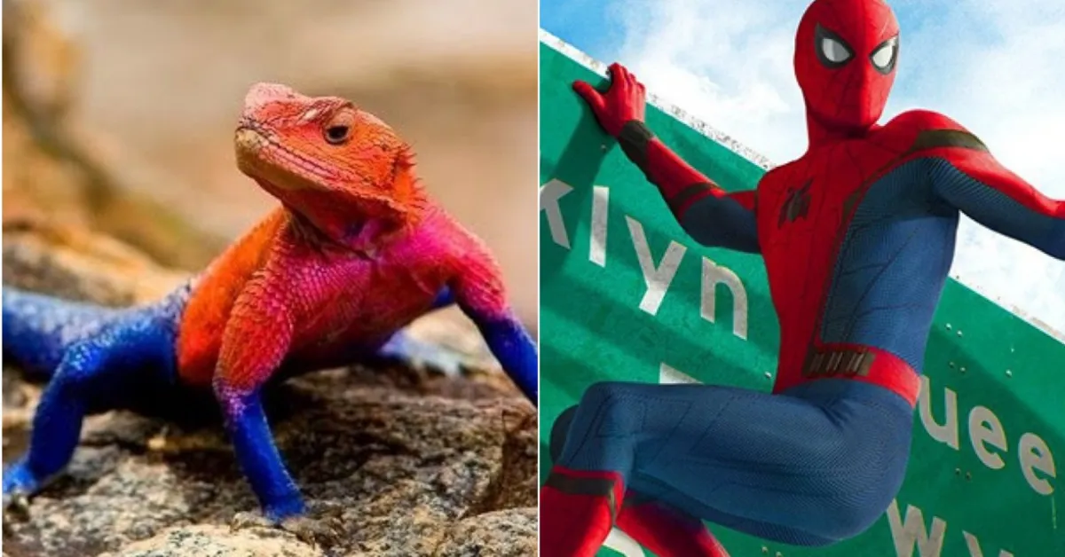 Lagarto Homem-Aranha