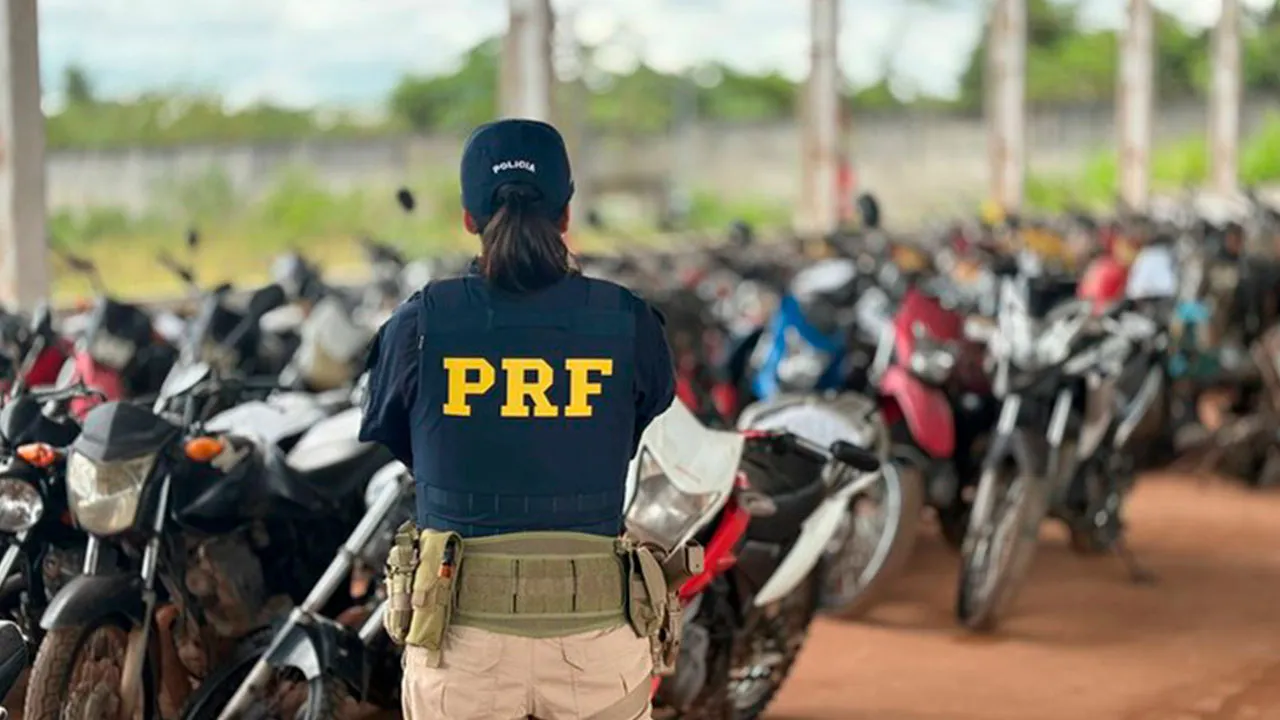 Os interessados terão a oportunidade de arrematar veículos classificados em diversas categorias, segundo a Superintendência da PRF