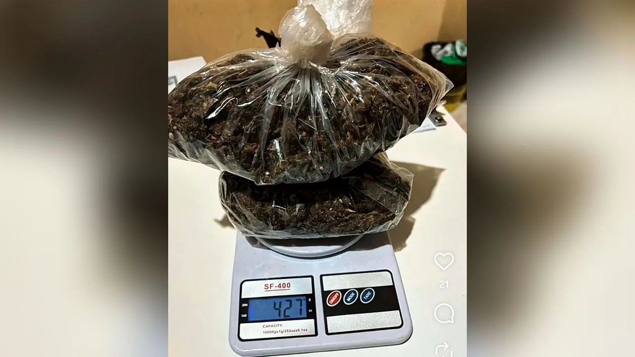 No interior da casa, os policiais encontraram uma grande quantidade de entorpecentes, o equivalente a quase meio quilo