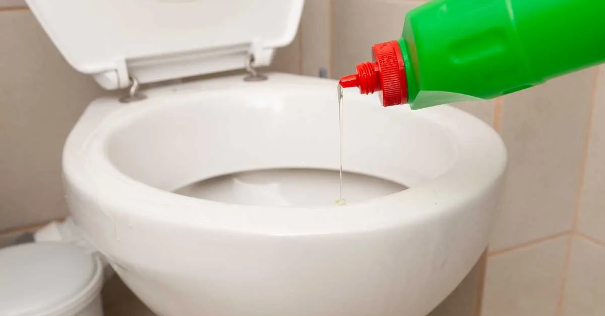 É importante ter cuidado na hora de usar sanitários públicos