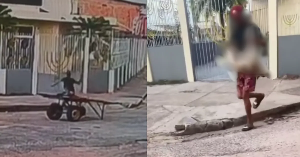 O homem recolheu o corpo do cachorro pelas patas e o colocou no carro de mão logo após o ataque