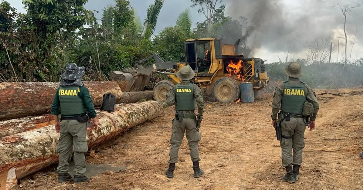 A seleção oferece 60 vagas temporárias para profissionais de nível superior, além de cadastro reserva. As remunerações podem chegar a R$ 11.036,23.