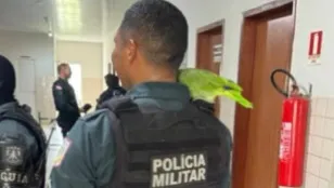 Ao final do resgate, Papagaio pousa no ombro do PM