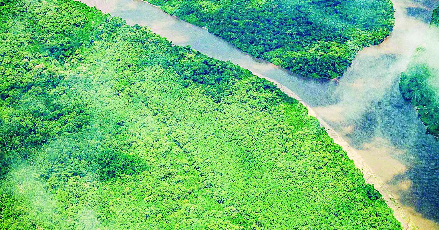 Uso de tecnologias, condições climáticas favoráveis e presença do Governo do Estado tornaram Pará destaque