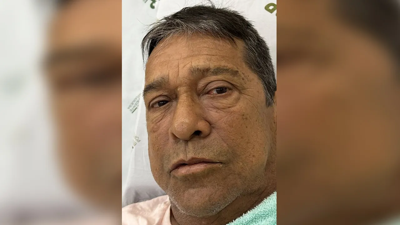 Podem ser doados de qualquer tipo sanguíneo