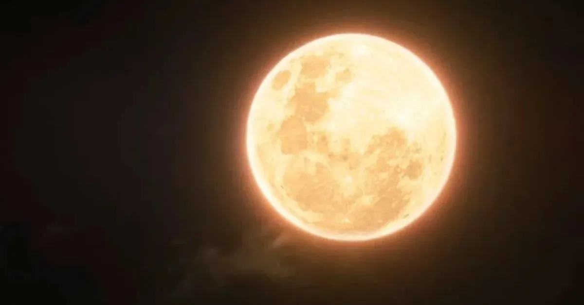 Os portões fecham às 20h30, sem necessidade de inscrição prévia, bastando apresentar documento oficial com foto.