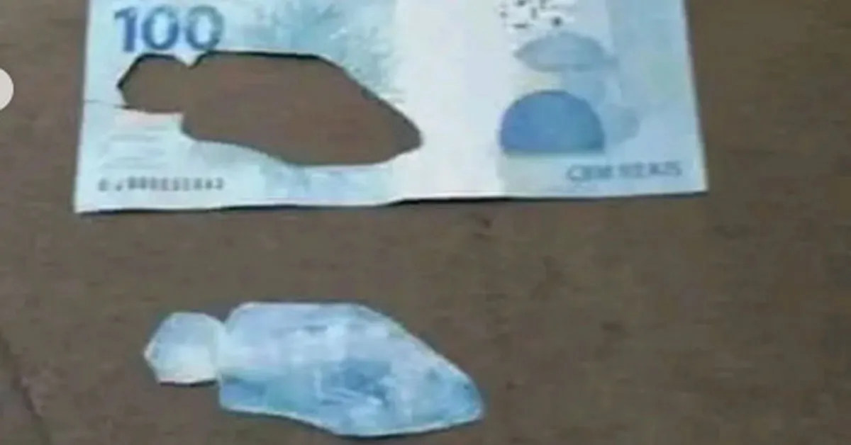 Aqui, jaz uma garoupa. Situação ocorreu após a descoberta do "peixe" pelo menino
