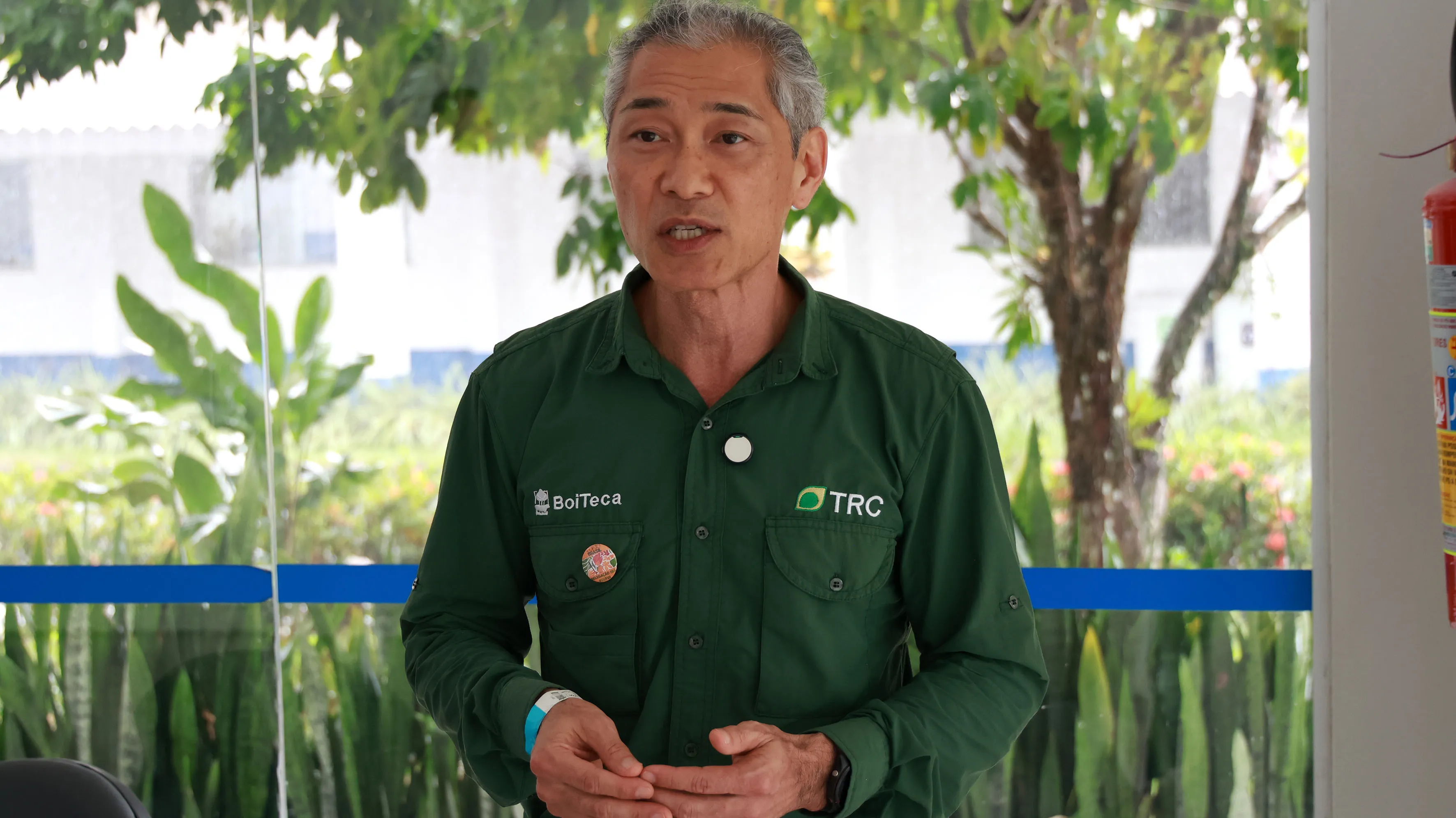 Projeto Boiteca da TRC une pecuária e floresta para sustentabilidade e rentabilidade