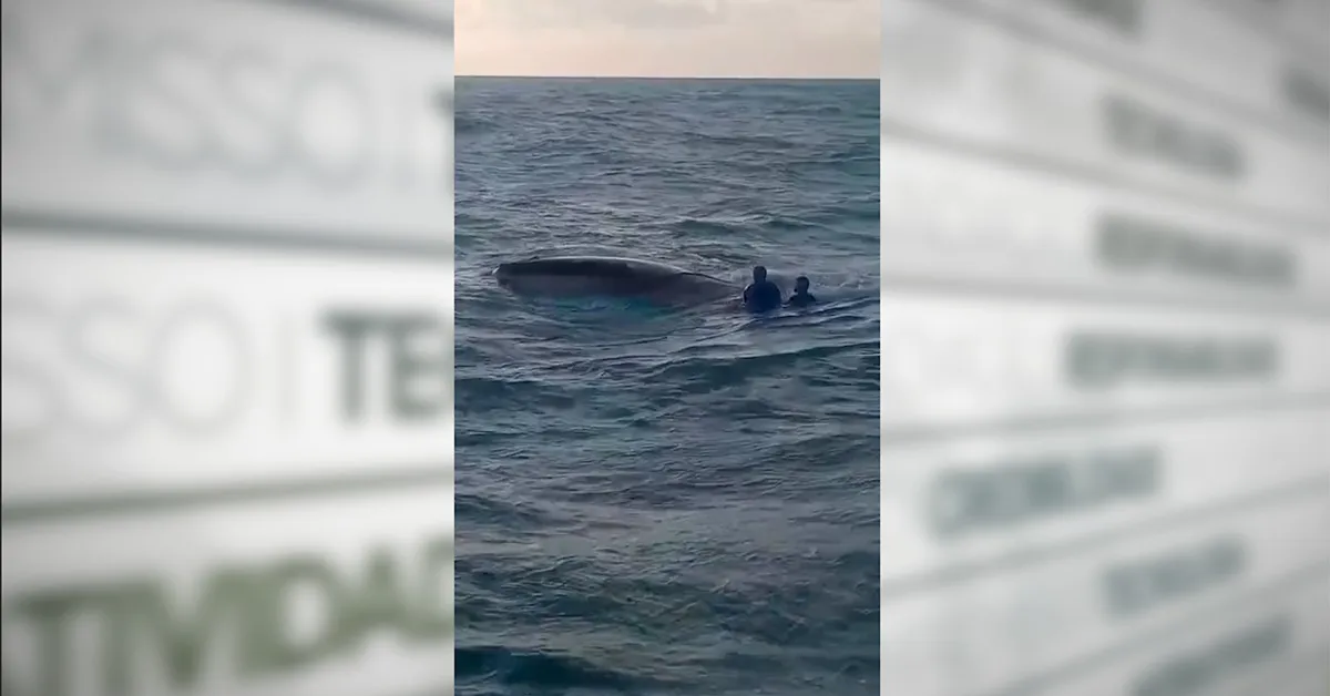 Os cinco pescadores foram resgatados após embarcação engatar em rede de pesca.