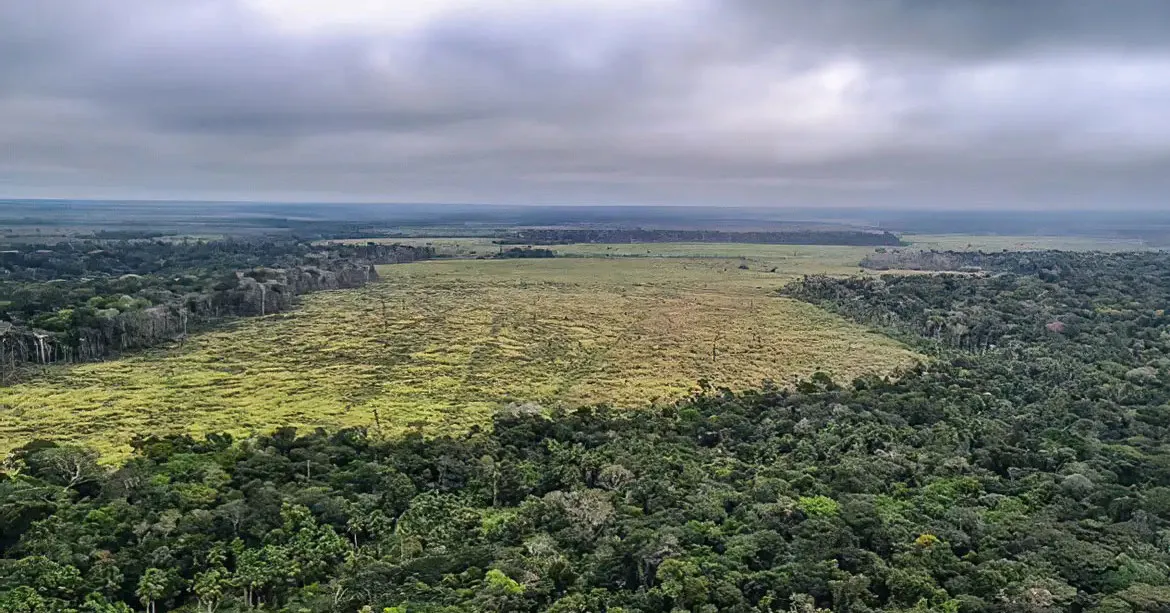 Segundo pesquisadores, os principais fatores de transformação da Amazônia nos últimos 40 anos são a expansão da pecuária, o crescimento da agricultura e o avanço da mineração.