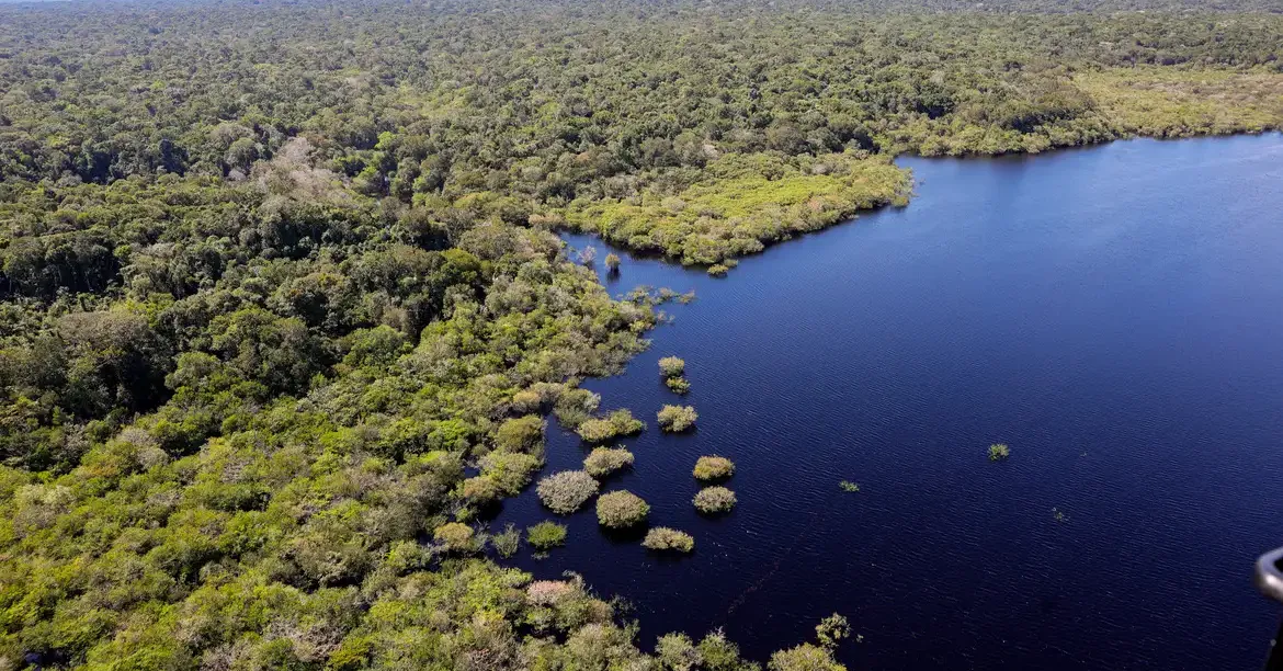 No acumulado do atual governo (desde 2023), houve uma redução na devastação de 50% na amazônia e 34,9% no cerrado.