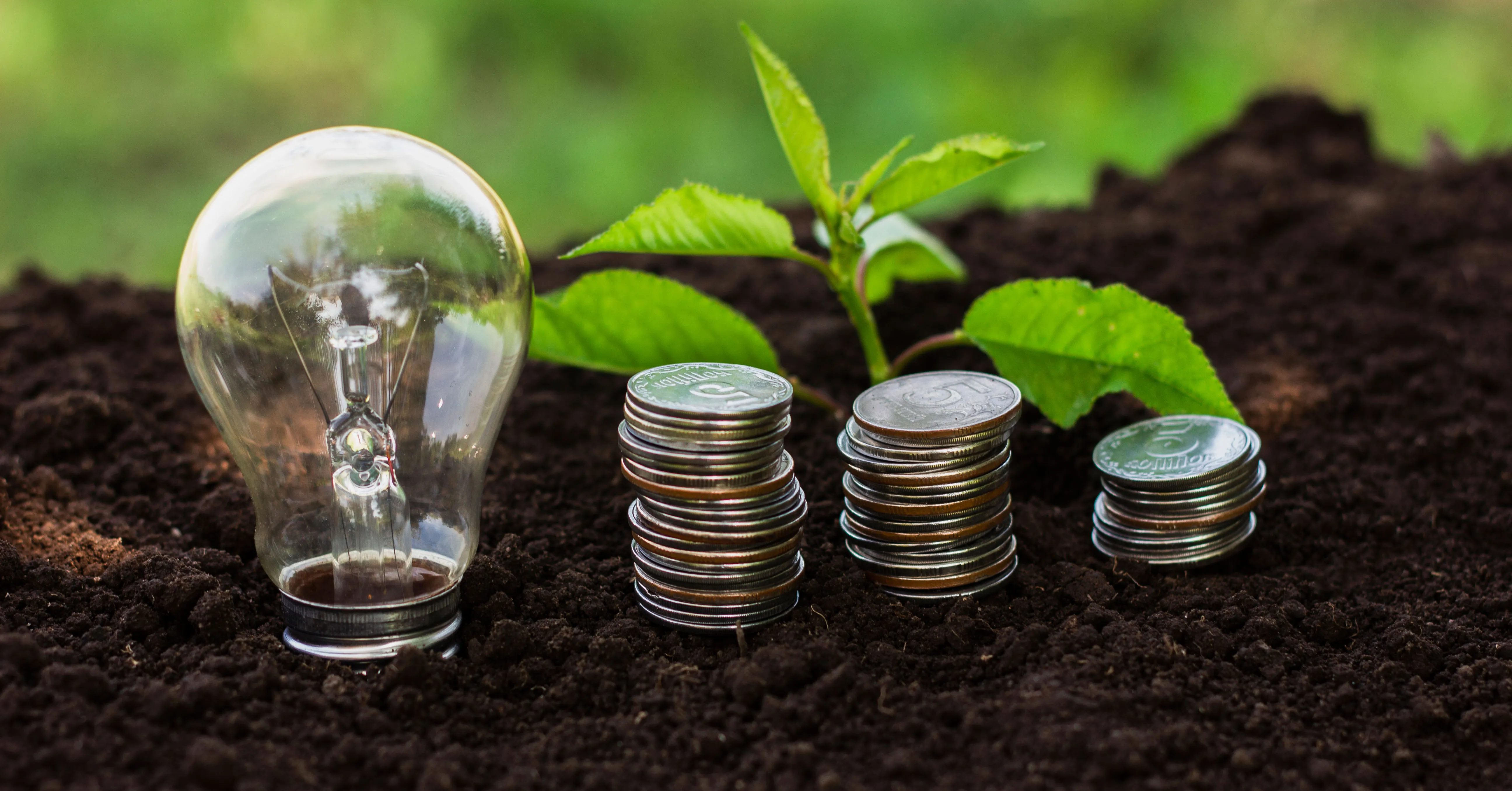 Reforma tributária verde: imposto seletivo, incentivos para biocombustíveis e créditos para a economia circular trazem novas oportunidades ao varejo.