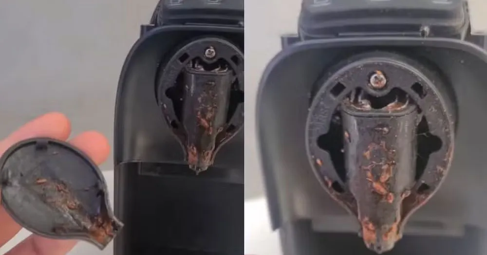 Vídeo gravado em uma assistência técnica mostra o interior de uma cafeteira de cápsula completamente tomado por larvas.