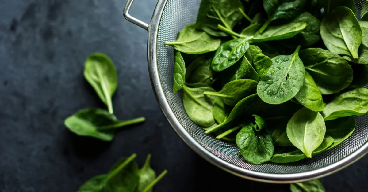 Espinafre é uma excelente escolha para quem busca uma alimentação saudável e equilibrada