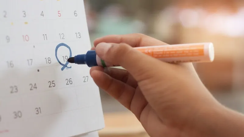 Descubra os feriados, recesso e home office em Belém em novembro de 2025, e como isso impacta na programação.