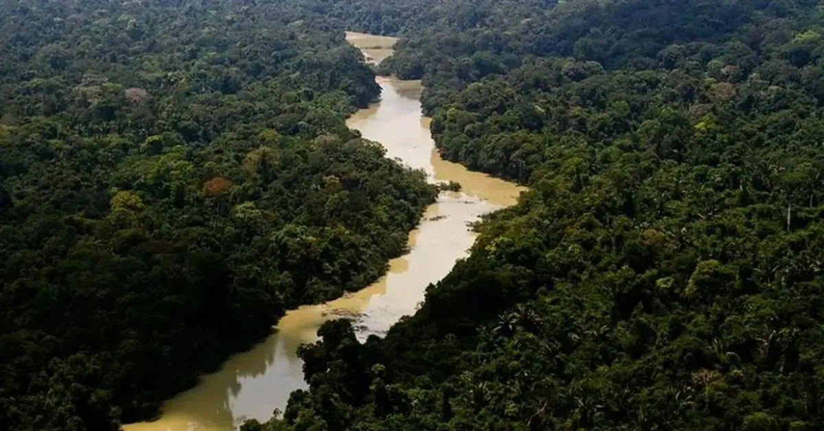 Encontro que visa fortalecer a colaboração entre instituições e promover o diálogo sobre os principais desafios agrários da Amazônia Legal.
