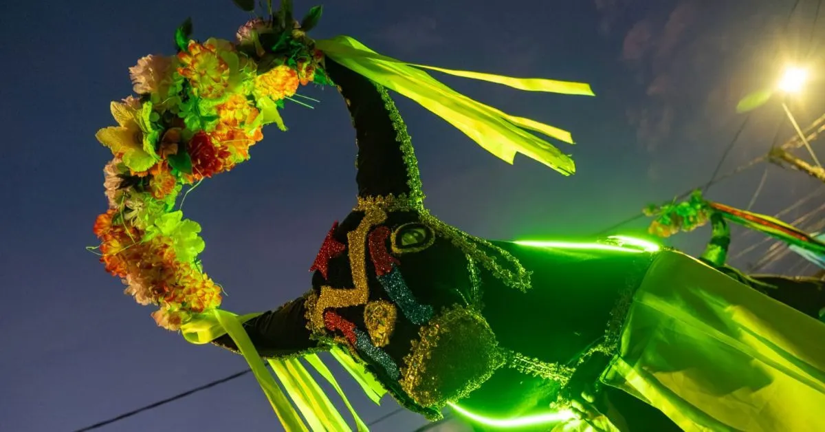 Com um cortejo colorido pelas ruas de seu bairro, o Boi Vagalume da Marambaia deu início à turnê de lançamento de seu primeiro álbum “Pra Brilhar Pro Mundo Inteiro”.