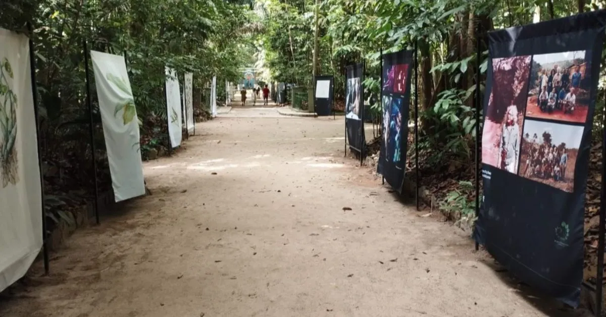A exposição também integra a programação da COP 30, destacando a conexão entre arte, cultura e preservação ambiental.