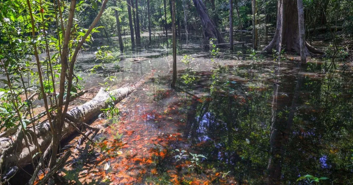 Segundo os pesquisadores, pegadas foram mantidas intactas graças ao soterramento em antigos canais fluviais da região.