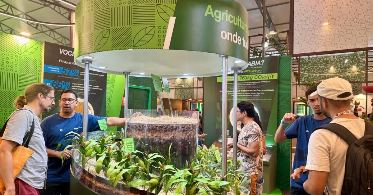 A economia verde reúne atividades que combinam crescimento econômico e preservação ambiental. Em Belém e na Amazônia, os setores com maior potencial incluem a bioeconomia, o turismo sustentável, a alimentação regional, a gestão de resíduos e a energia limpa.