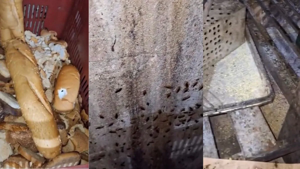 As condições do estabelecimento foram consideradas gravíssimas pela vigilância sanitária