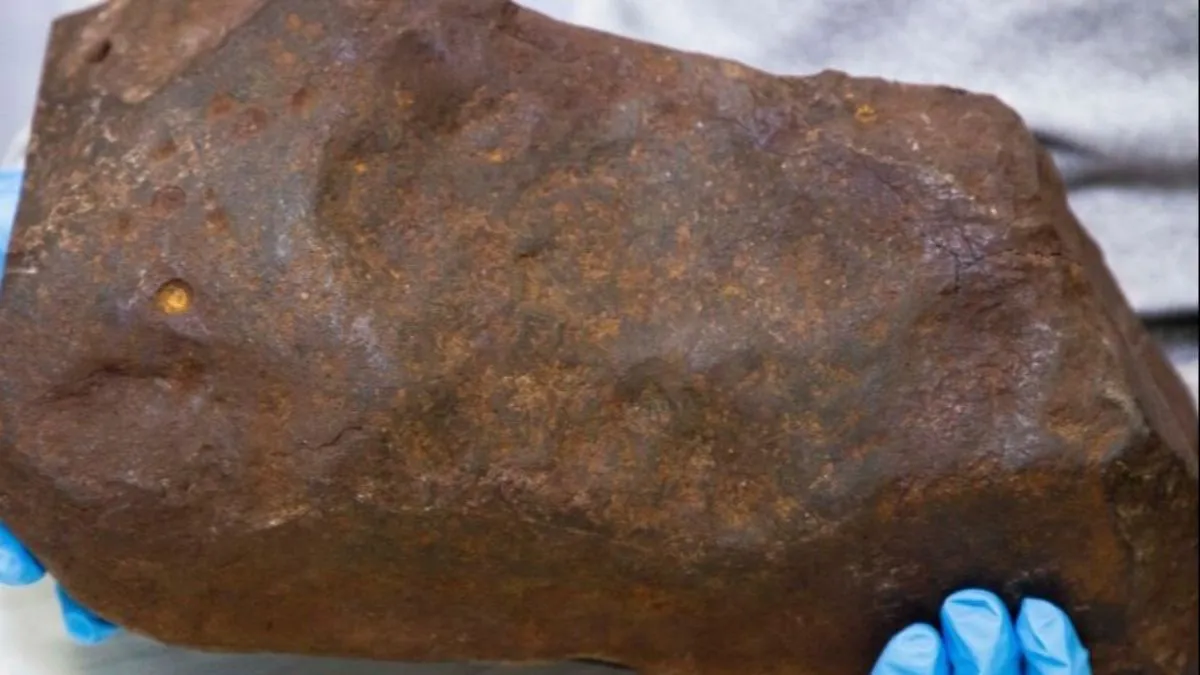 Grande e marrom-avermelhada, ainda coberta por um pouco de argila, a pedra chamou a atenção do homem, que logo percebeu que tinha encontrado algo especial.