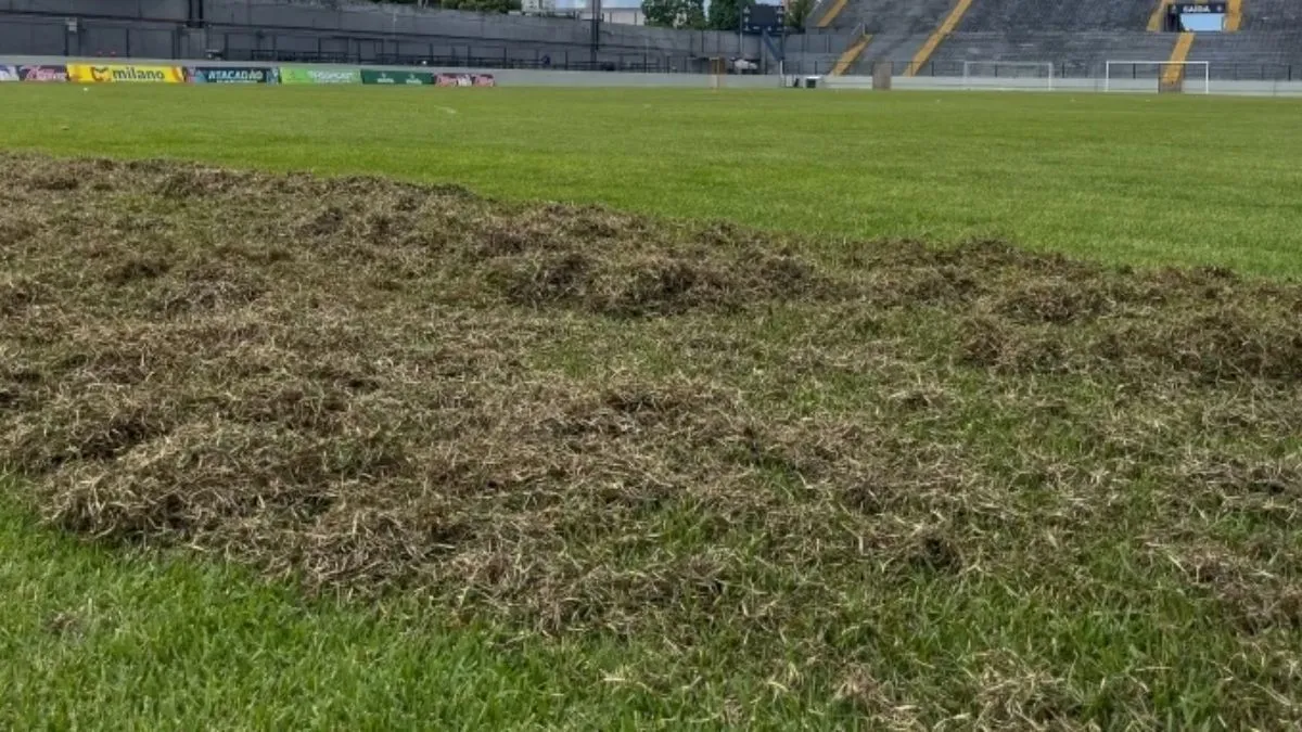 Clube do Remo inicia revitalização do gramado do Estádio Baenão em preparação para a Série A de 2026