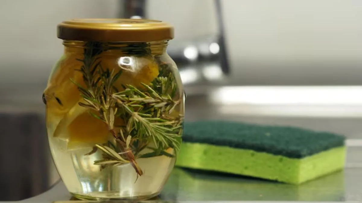 A solução também é recomendada para eliminar mosquitos.