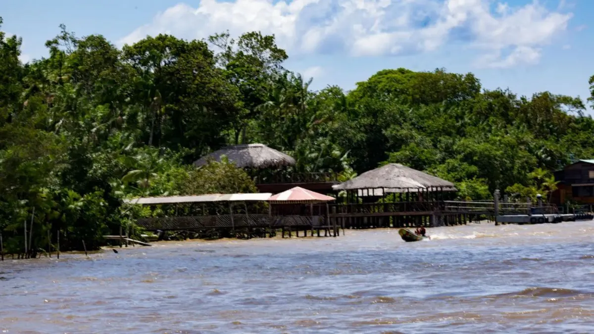 Os tijolos ecológicos devem reduzir as emissões em torno de 28 toneladas de CO₂ na atmosfera.