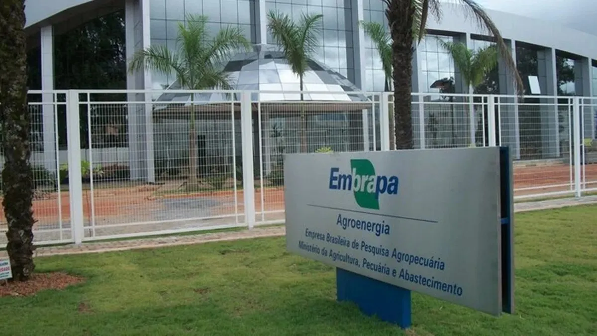 Embrapa oferta cursos do básico ao avançado