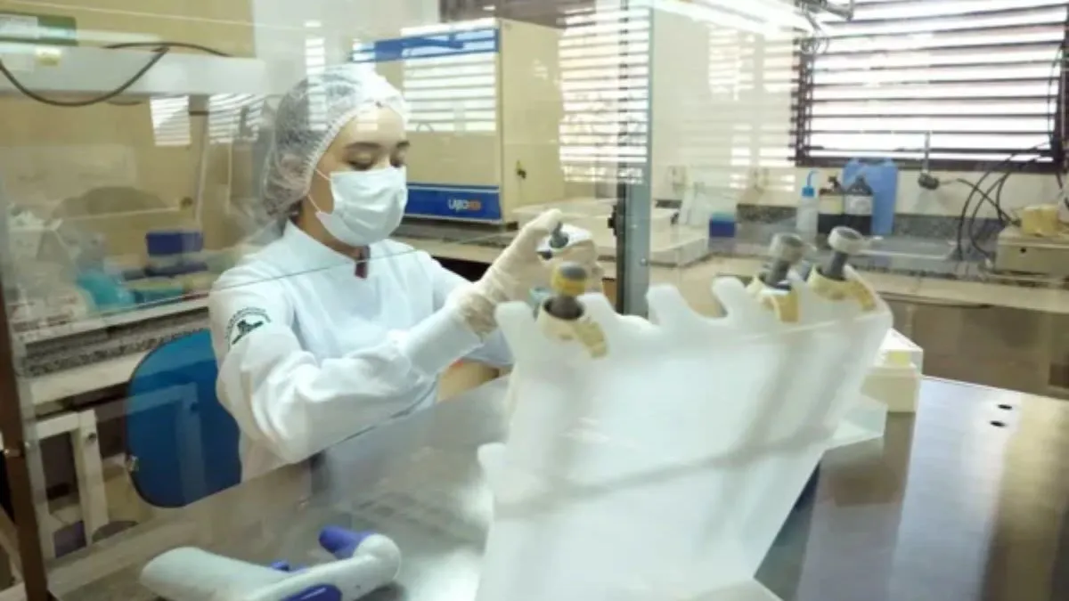 Inscrições vão até o dia 16 de janeiro de 2026.