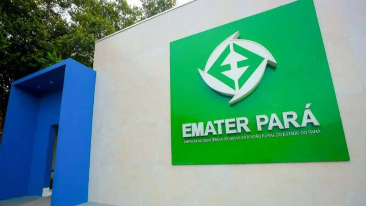 São vagas para três regiões do Pará