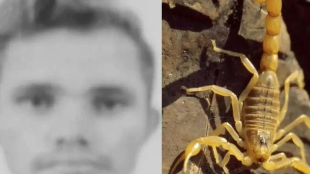 Garimpeiro foi picado e não resistiu a caminho do hospital