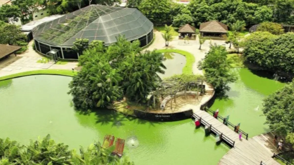 Espaços públicos estarão abertos no feriado