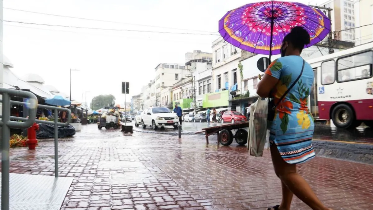 Chuvas favorecem proliferação do mosquito
