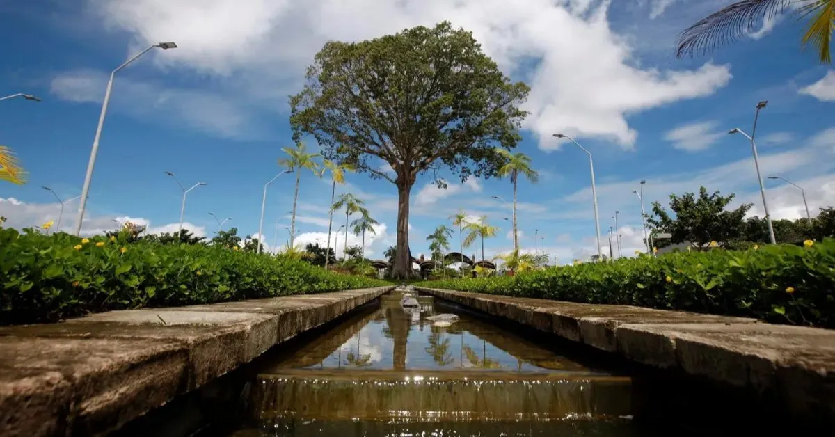 Com mais de 30 anos de fundação, o Parque do Utinga continua movimentando o turismo em Belém.