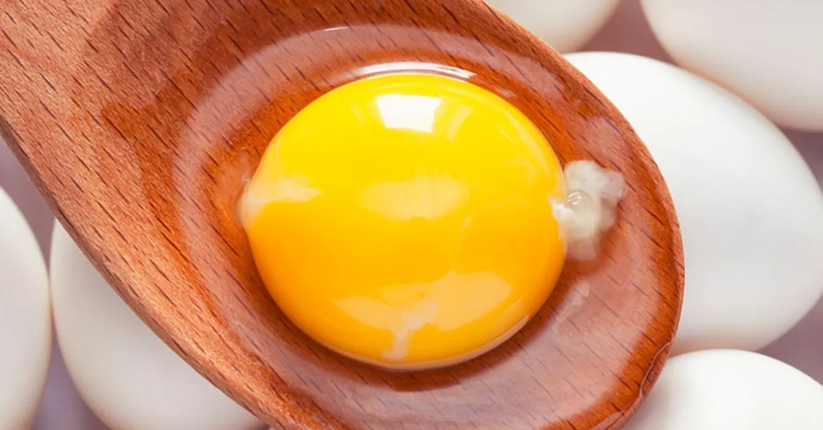 Fio branco visível na gema é a chalaza, estrutura natural e rica em proteínas, que indica frescor no ovo.