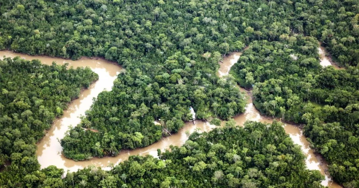 A redução histórica de 90,5% nos focos de incêndio florestal no Pará reflete os esforços do Programa Pará Sem Fogo e ações integradas de combate e prevenção.