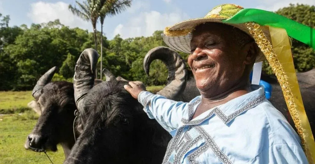 Mestre Damasceno retorna à terra que sempre carregou no coração, o Marajó, berço de suas memórias, ritmos e tradições.