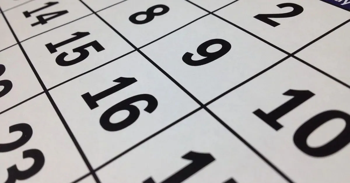 Fé, tradição e folga: municípios de Norte a Sul param para homenagear Nossa Senhora da Conceição.