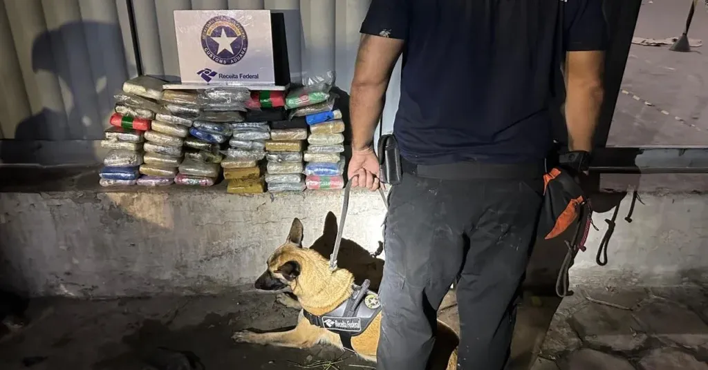 A operação foi executada por servidores da Alfândega de Belém em conjunto com a Divisão de Repressão ao Contrabando e Descaminho (Direp).