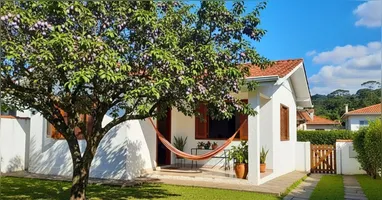 Ameixeira: a árvore perfeita para espaços pequenos